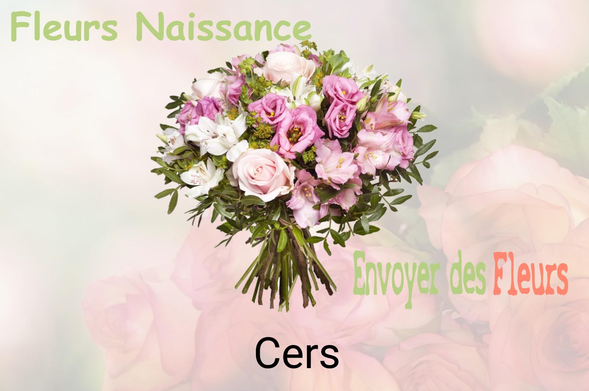 Bouquet de fleurs de naissance livré à Cers