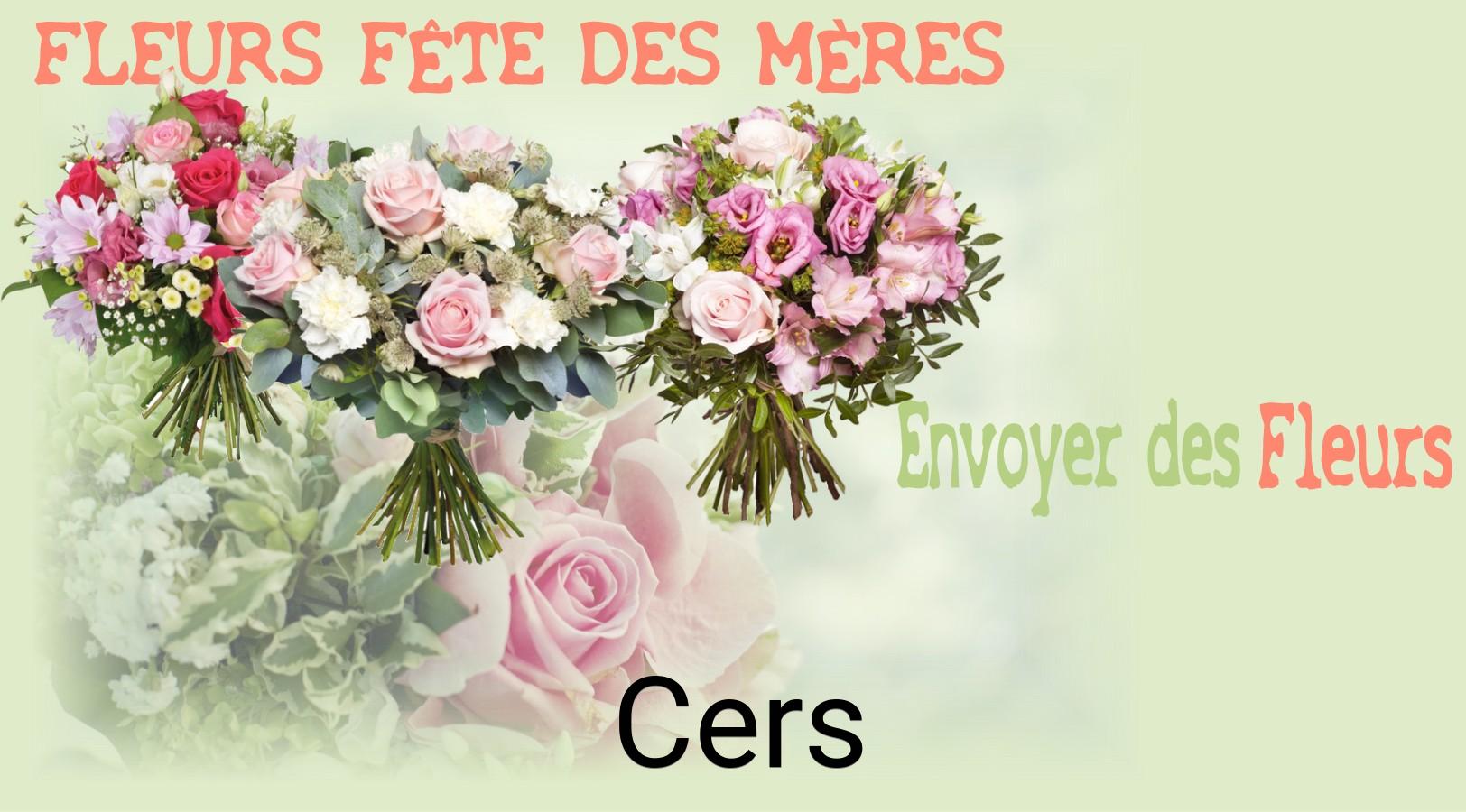 Bouquet de Fête des Mères livré à Cers